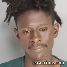 Erin Miles booking photo