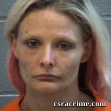 Erin Patterson booking photo