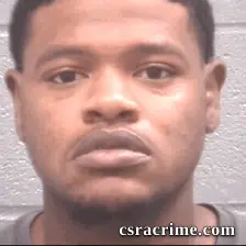 Erin Simpson booking photo