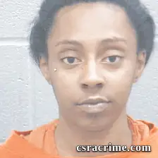 Erin Smith booking photo