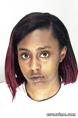 Erin Smith booking photo