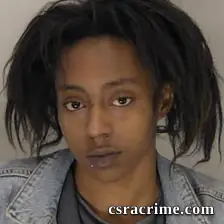 Erin Smith booking photo