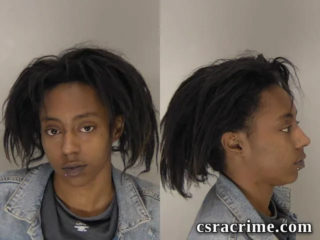 Erin Smith booking photo