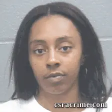 Erin Smith booking photo