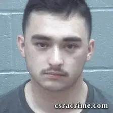 Evan Goldstein booking photo