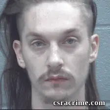 Evin Hibbs booking photo