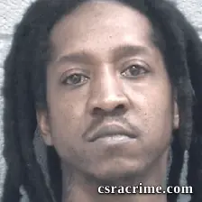 Evin Wilson booking photo