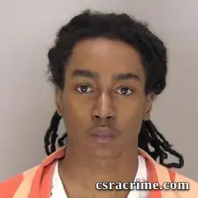Evyn O'Conner booking photo