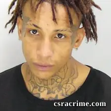 Fabian Lee JR booking photo