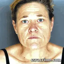 Fairy Anderson booking photo