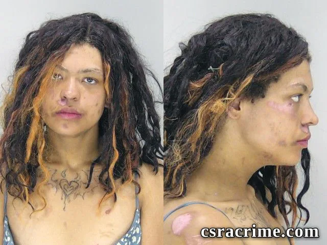 Falise Simpson booking photo