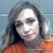 Faye Alpers booking photo
