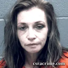 Faye Alpers booking photo