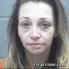 Faye Alpers booking photo