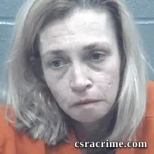 Faye Alpers booking photo