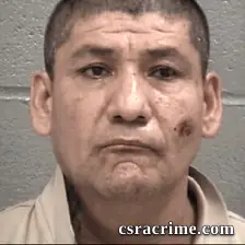 Feliciano Lopez booking photo