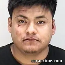 Felipe Armando booking photo