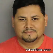 Felix Hernandez booking photo