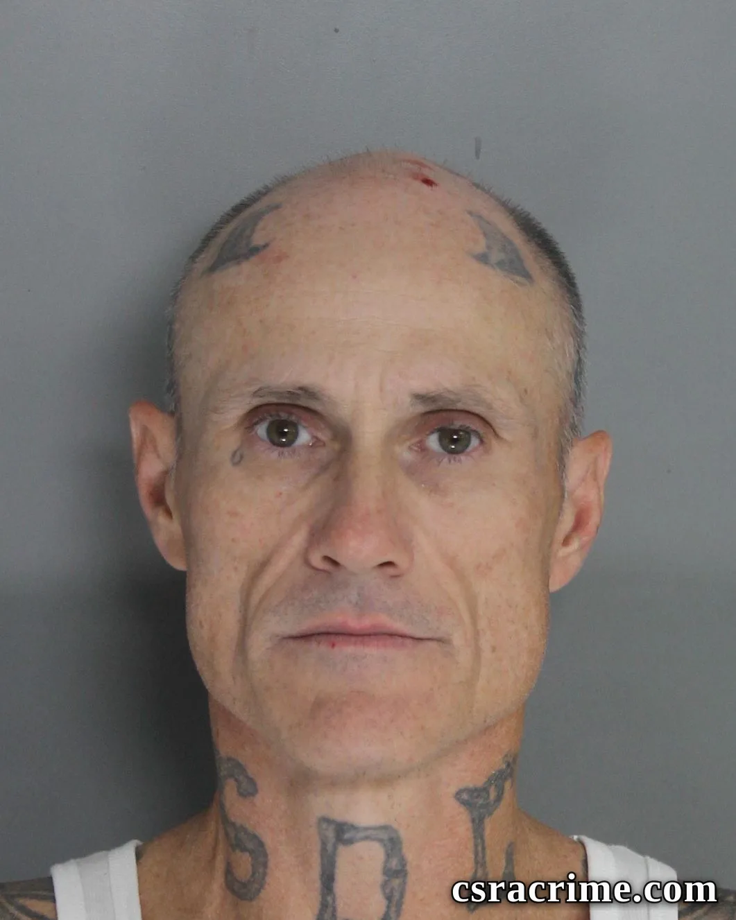 Francis Lyon JR booking photo