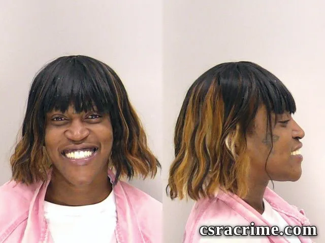 Fredrieka Collier booking photo