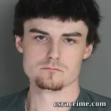 Gabriel Brown booking photo