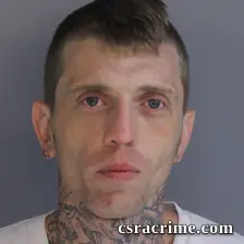 Gabriel Gomisch booking photo