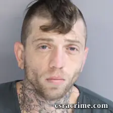 Gabriel Gomisch booking photo