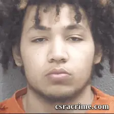 Gabriel Hardy booking photo