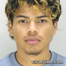 Gabriel Hernandez-Turicos booking photo