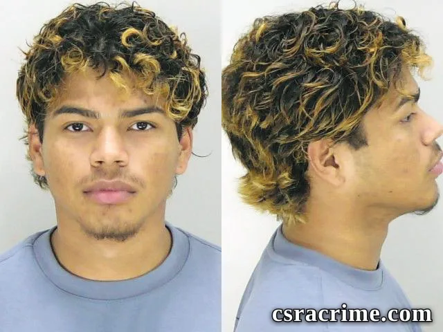 Gabriel Hernandez-Turicos booking photo