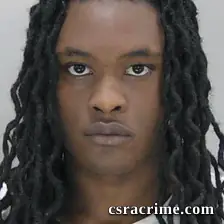 Gabriel Mcbride JR booking photo