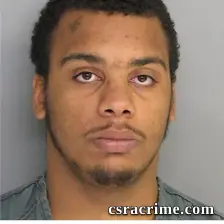 Gavin Johnson booking photo