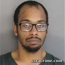 Gavin Johnson booking photo