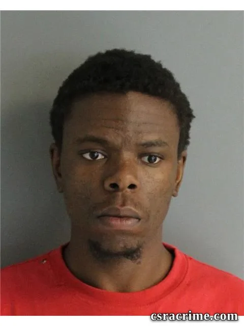 Gavin Lamb booking photo