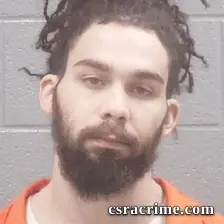 Gavin Meeks booking photo