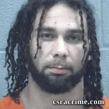 Gavin Meeks booking photo