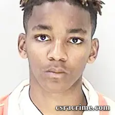 Genesis Searles booking photo