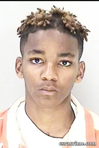 Genesis Searles booking photo