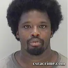 George Hollins JR booking photo