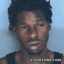 George Johnson booking photo