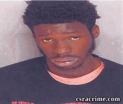 George Johnson booking photo