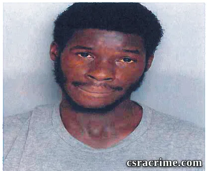 George Johnson booking photo