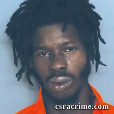 George Johnson booking photo