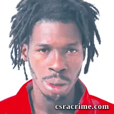 George Johnson booking photo