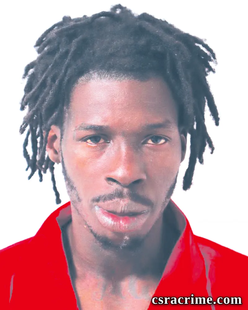 George Johnson booking photo