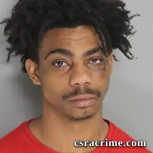 George Johnson III booking photo
