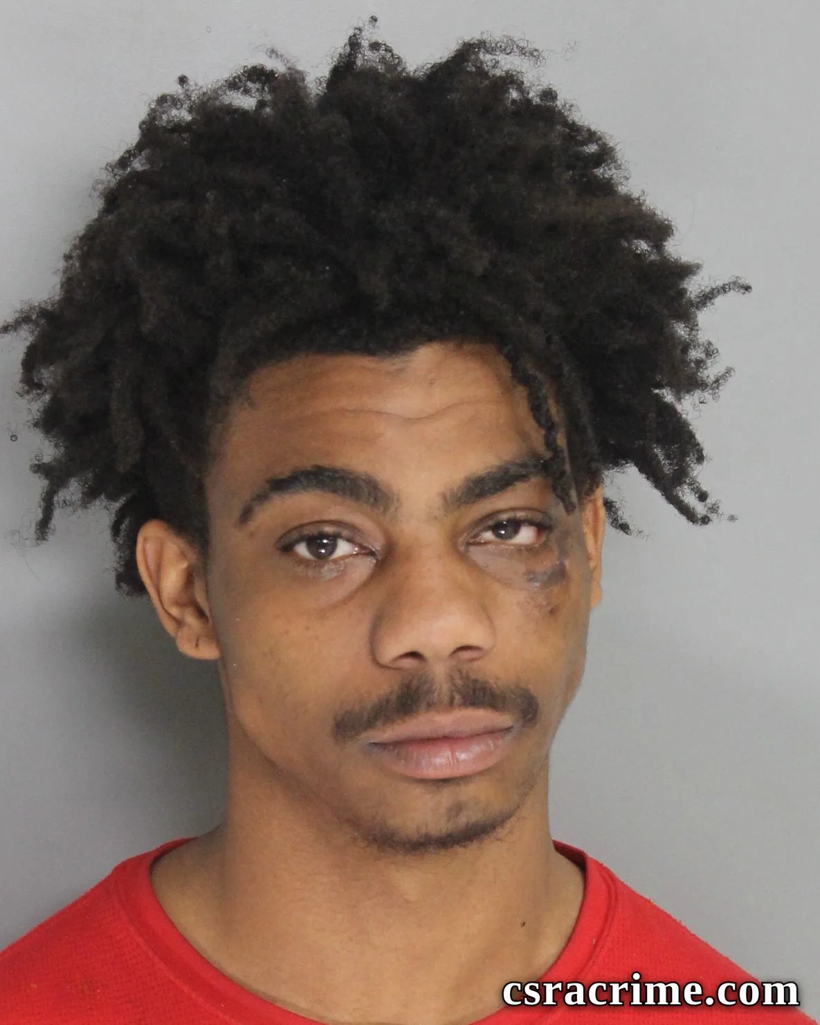 George Johnson III booking photo