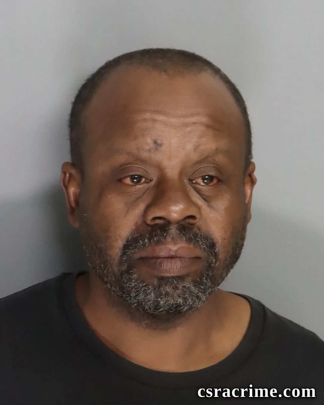 George Livingston SR booking photo
