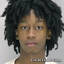 Gerald Thomas JR booking photo