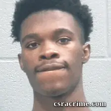 Gevorcee Hales booking photo